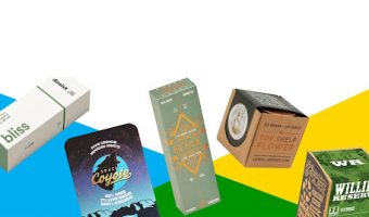 CBD Oil